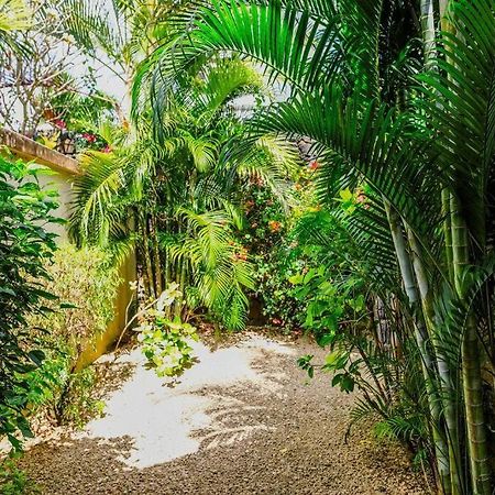 Villa Tropicale Balinaise Intimiste Гранд-Бэй Экстерьер фото