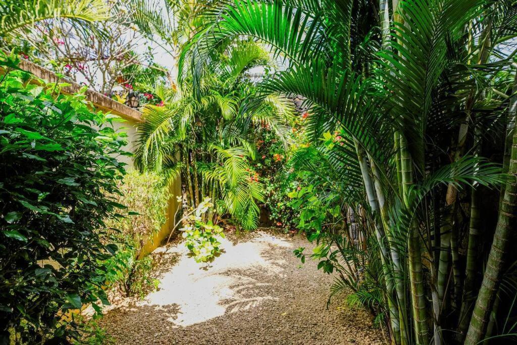 Villa Tropicale Balinaise Intimiste Гранд-Бэй Экстерьер фото